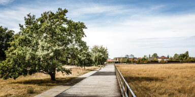 Berlin Adlershof Gallery 04